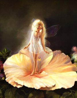 enchanted cards
